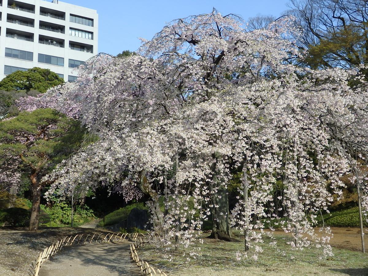 Koraku Garden Hotel Tōkyō Extérieur photo