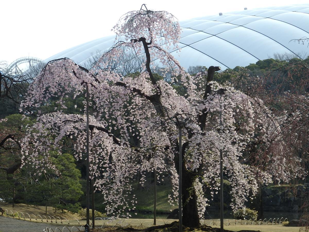 Koraku Garden Hotel Tōkyō Extérieur photo